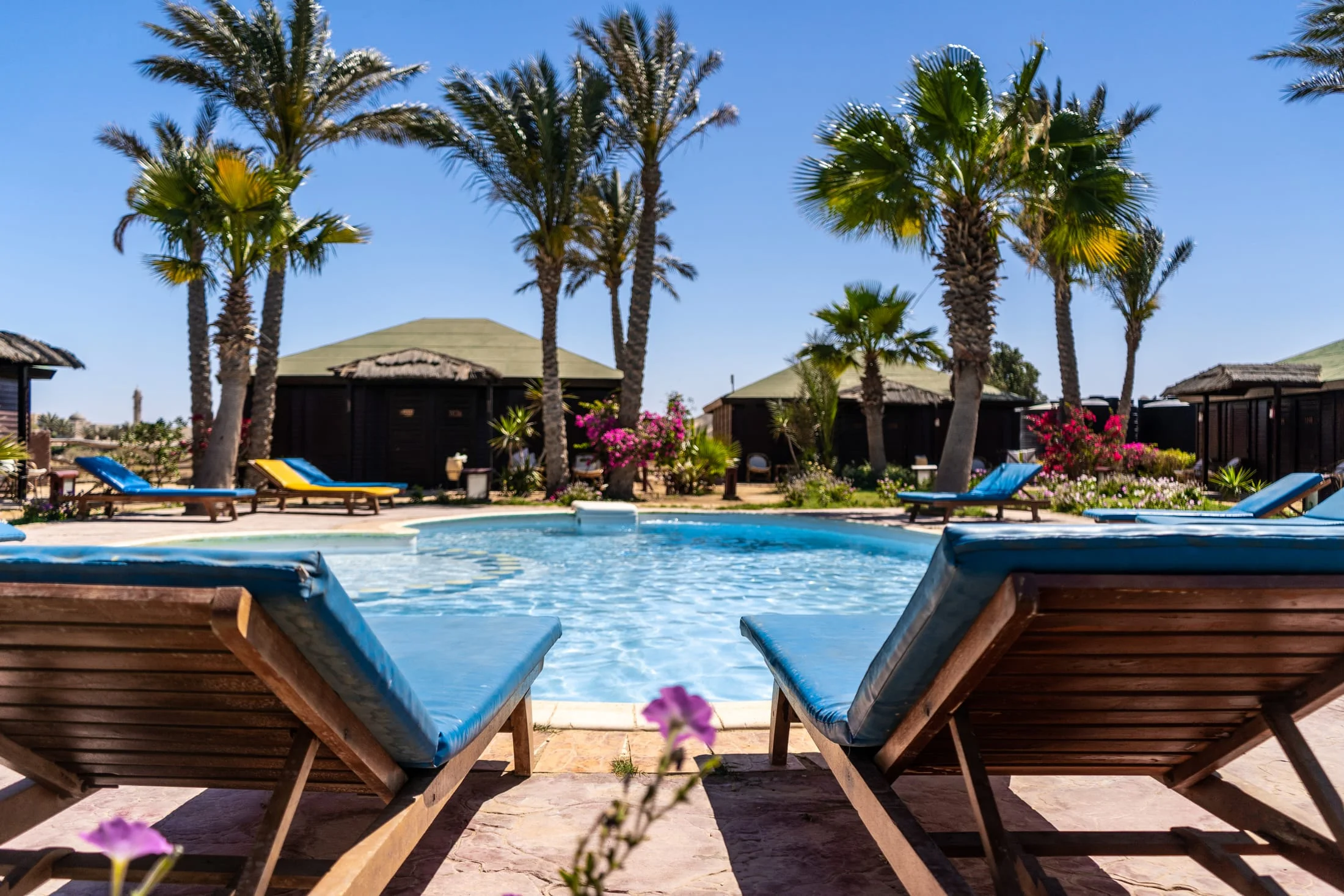 Abu Dabbab Diving Lodge — photo 13
